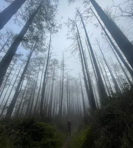 a photo of the author